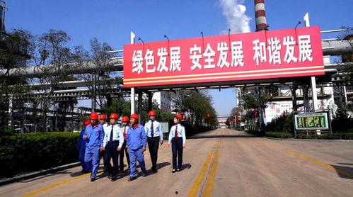 精品国产自在先拍所有